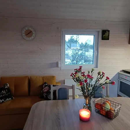 Arkadia Holiday home Borzestowo