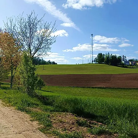 Arkadia Borzestowo