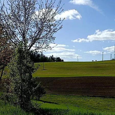 Arkadia Holiday home