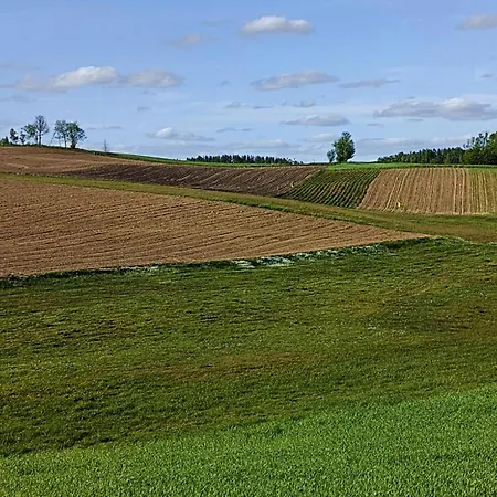 Arkadia * Borzestowo