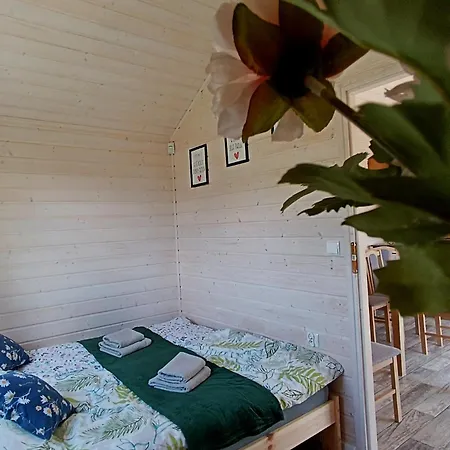 Arkadia * Borzestowo