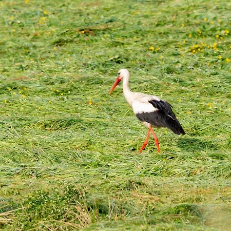 Vakantiehuis Arkadia *