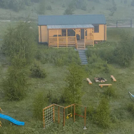 Arkadia Borzestowo
