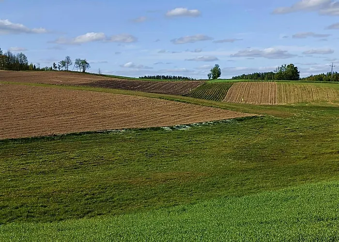 Arkadia * Borzestowo